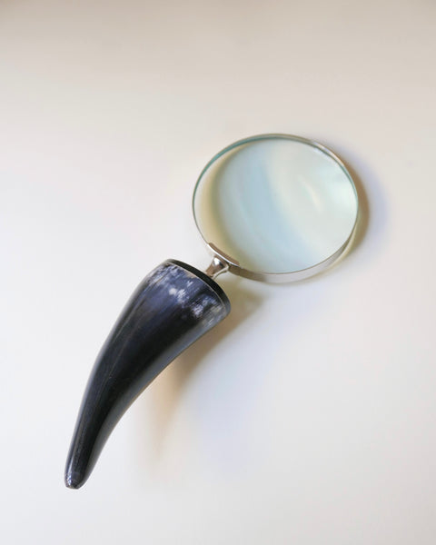 Lente d'ingrandimento