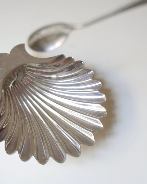 Conchiglia d'argento