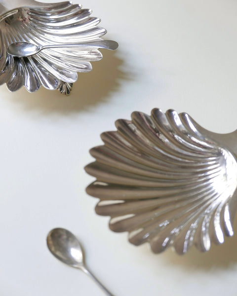 Conchiglia d'argento