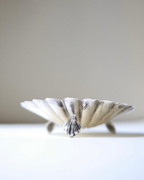 Conchiglia d'argento